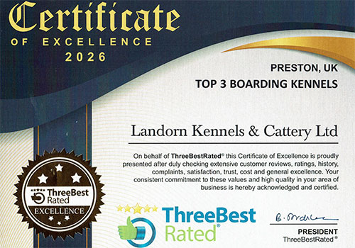 Best Boarding Kennels in Preston